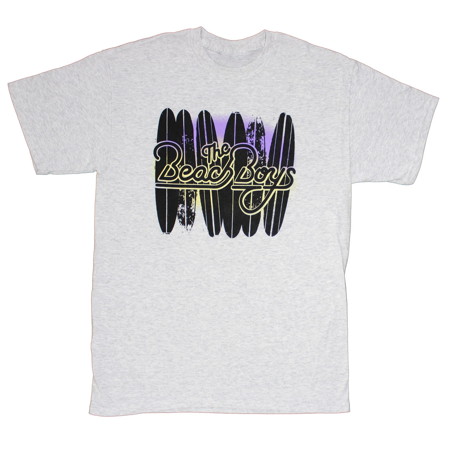The Beach Boys Sounds 2010 of Summer T-shirt