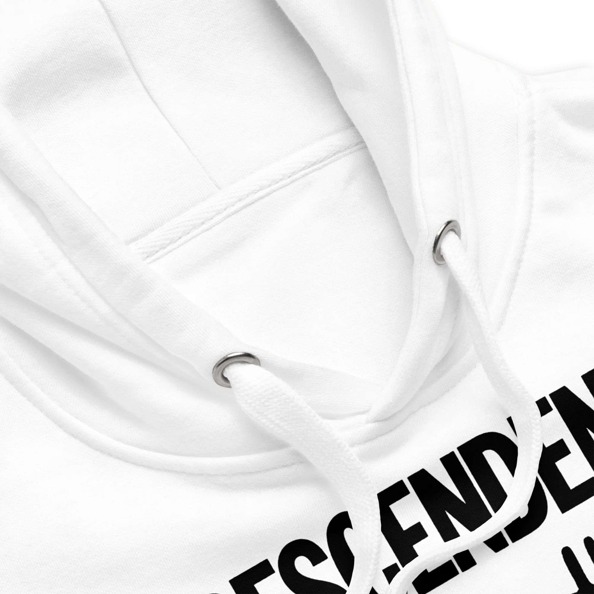 Descendents - Not a Punk Hoodie - Image 3