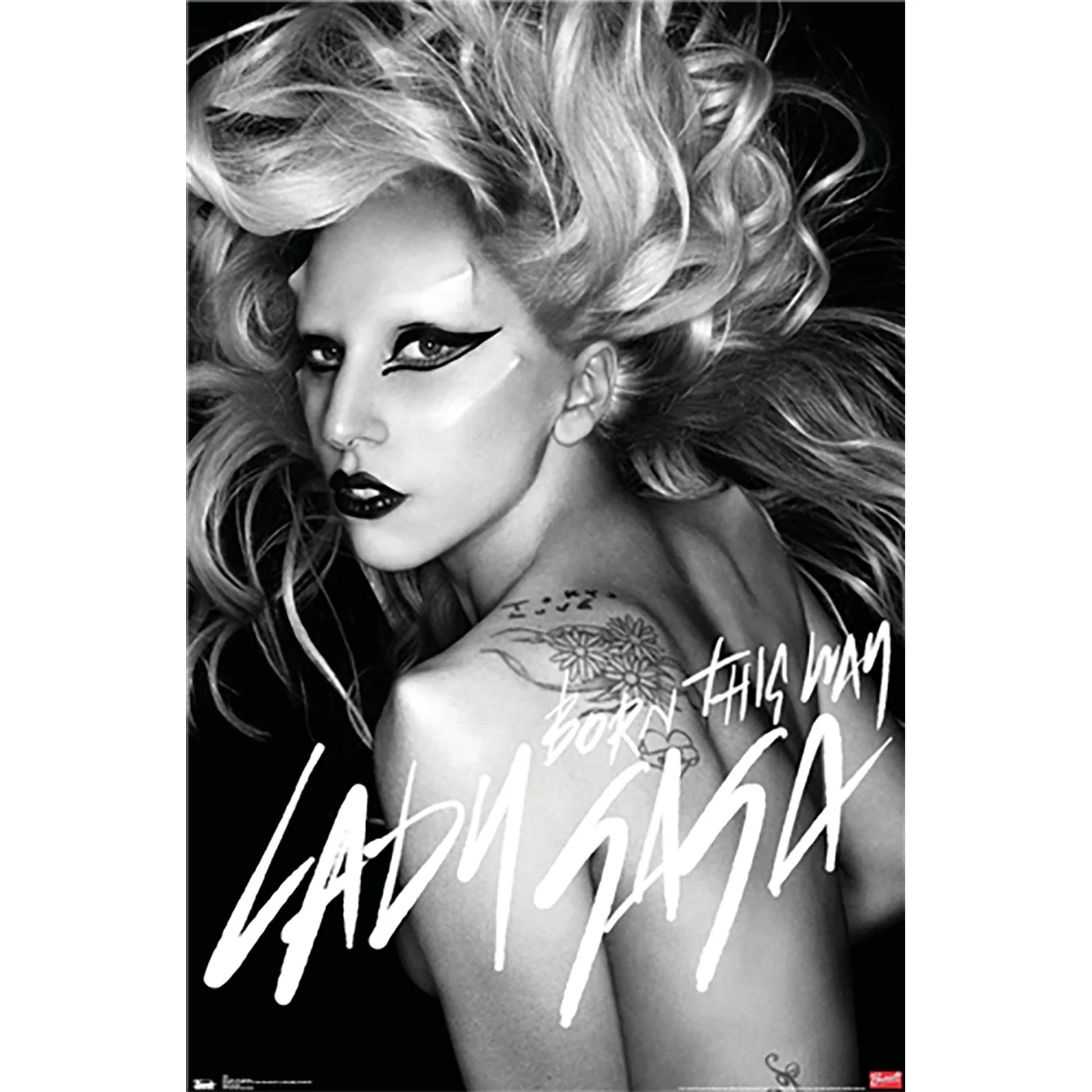 Born This Way Domestic Poster