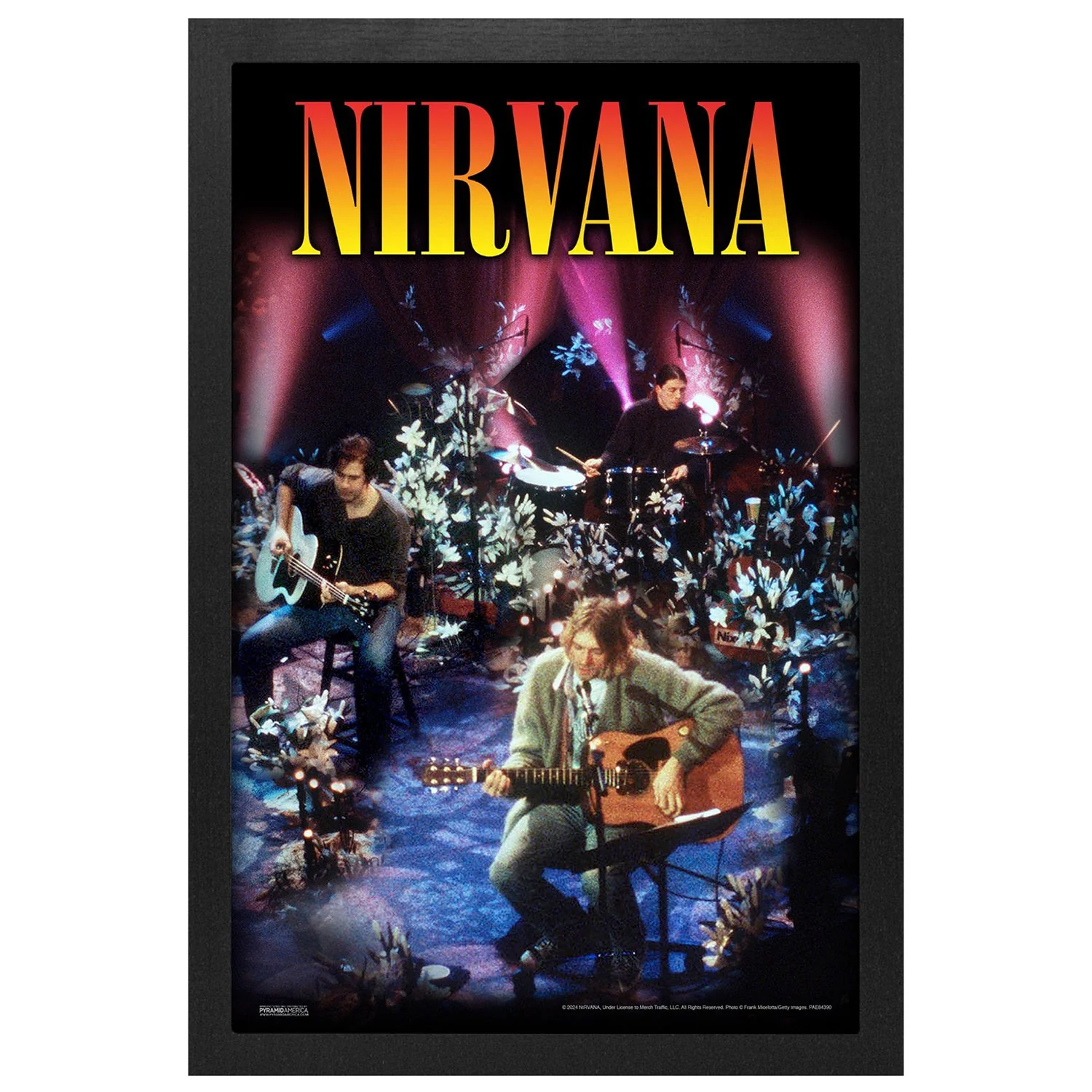 Unplugged Framed Wall Art