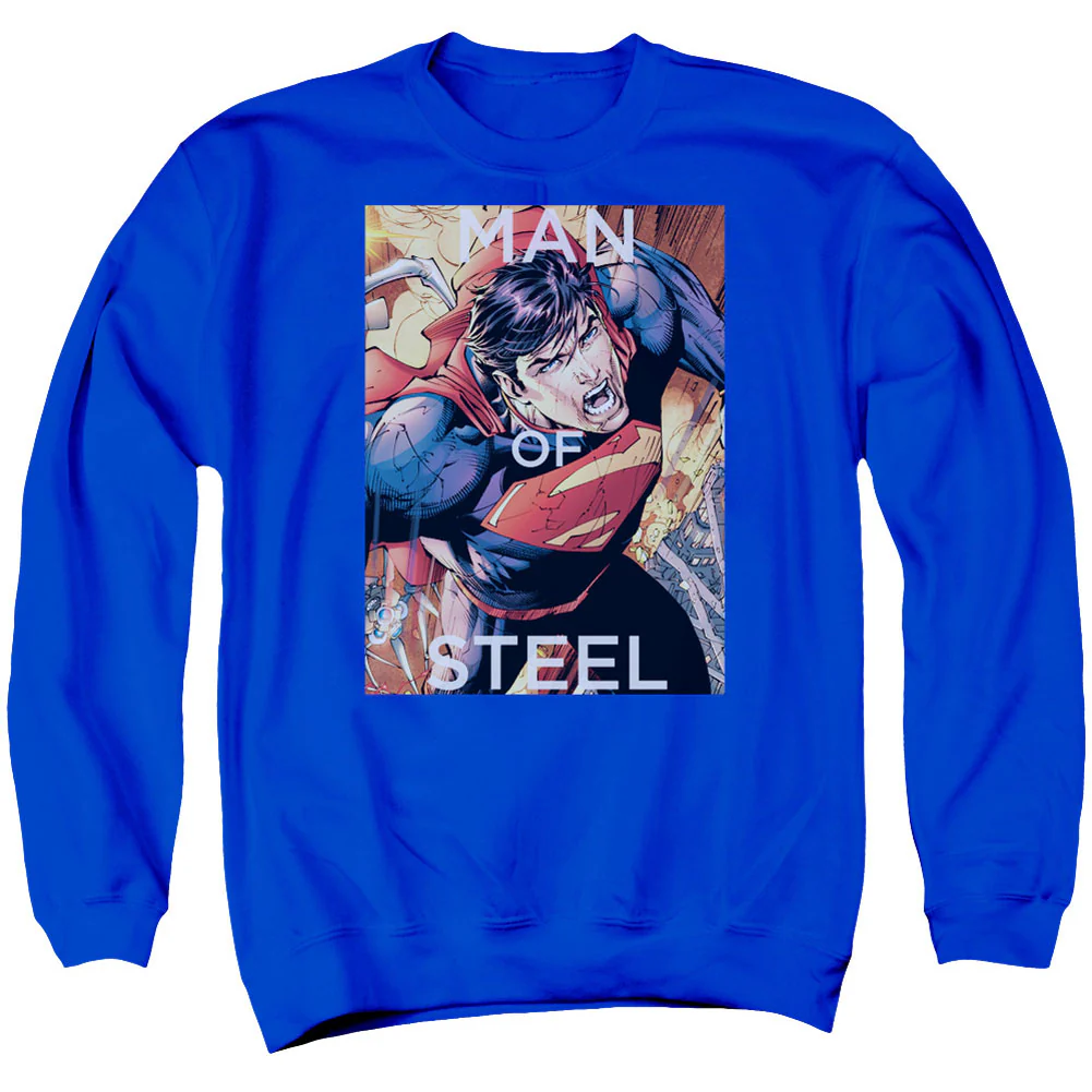 Flight Of Steel Adult Sweatshirt